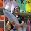 Bà kỳ yêu Thú cưng
