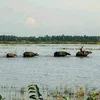 18_07_2007_su