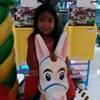 stnnesa