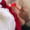 گـمِࢪة مَحَمَـد ᭝♥️