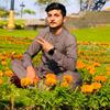 asim_feroz611