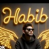 habib.javaid