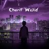cherifwalid935