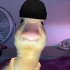 dominik_psst