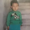 nobody_911z