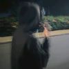 sofyanmaniezz