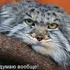 dy4ilw24ut6p