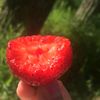 vitalina_924