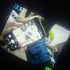 alexis.nevacaredd