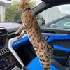 aichaelftouh