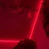 1of1bitchh