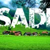 sadi1601