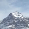 tasscjj