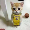david_gogginz
