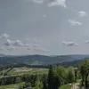 dawiziuk_