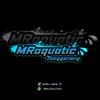 mr_aqutic