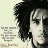 el_cardenal28