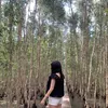 _hincimxauxi