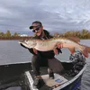 carnassier71nokil
