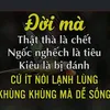 dy6dktxibo2m