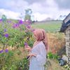 shoothgrace