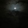 ylna8_