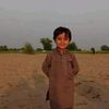 gulwazir133