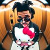 cepillin.4