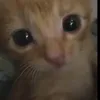 tieuninh._zz
