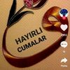 zahirquliyev3
