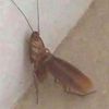 jien_2207