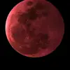 m.._8t