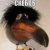 _pudge228._