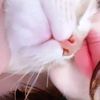 sofia_sofi50