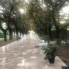 francescapalermo85