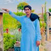 sajawalkhanniazi33