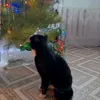 tomji___