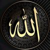 filizsahin333