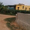phuongthanh5085