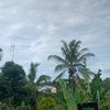 user2883166201544