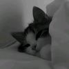 mzaki_935