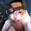 17_baee
