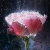 souadsaadouda705
