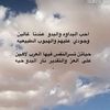 nawafsadn