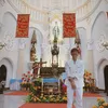 _kelvin_79