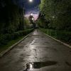 _nur_558