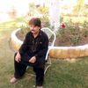 dadgulkhan285