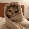 tt.gh_02