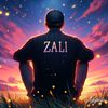zaly1871