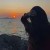 iisamartin